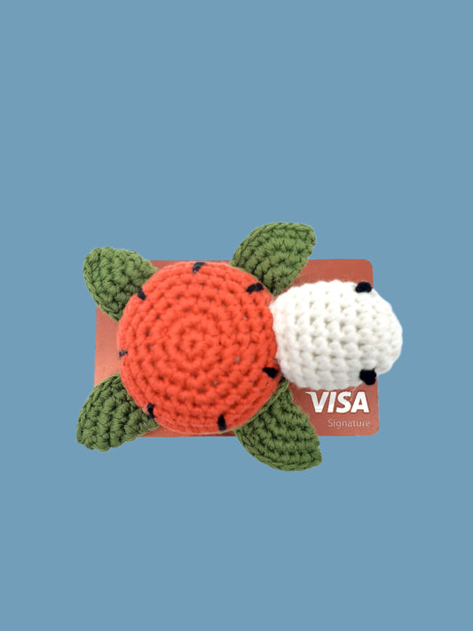 Fruity Turtles - Watermelon