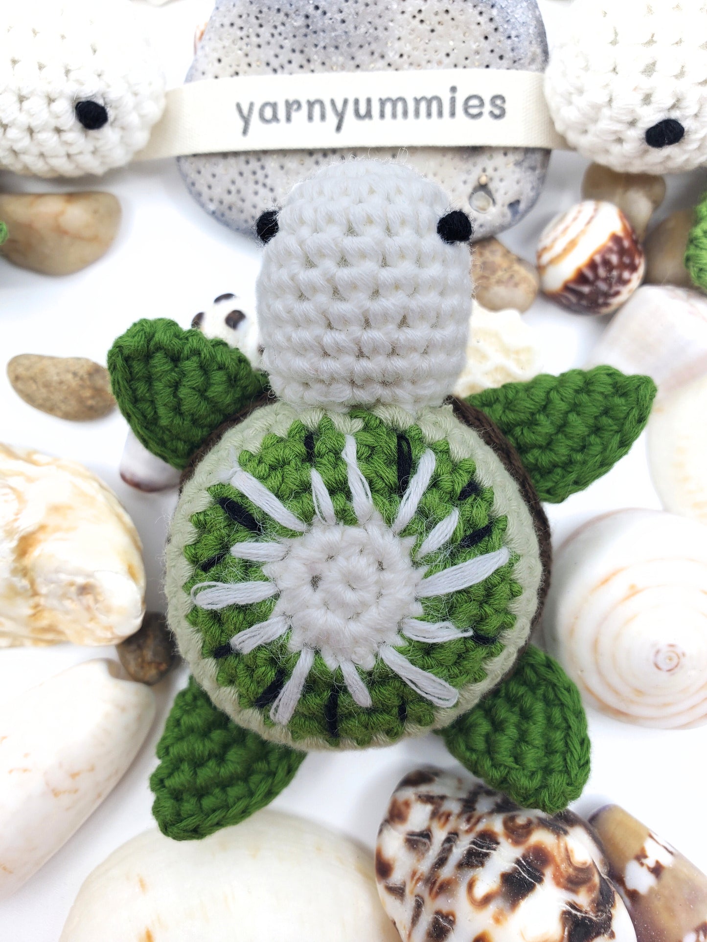 Fruity Turtles - Kiwi