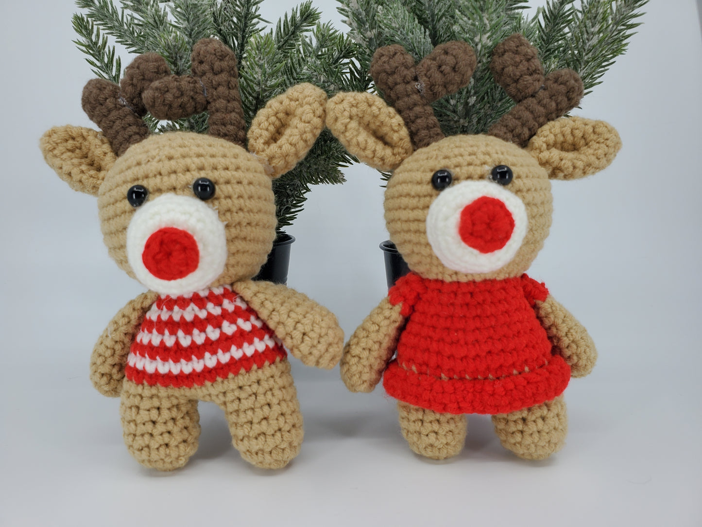 Reindeer - Bull & Cow Pair