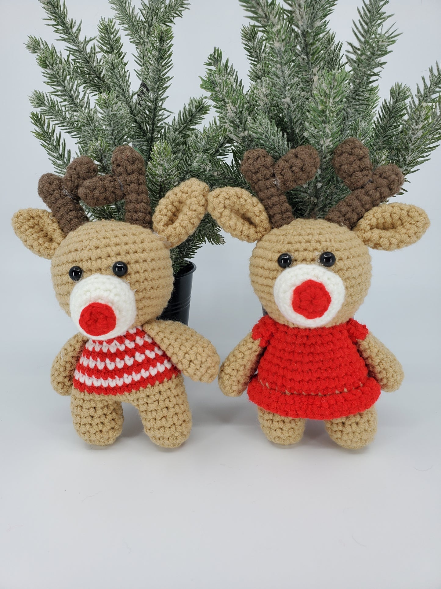 Reindeer - Bull & Cow Pair